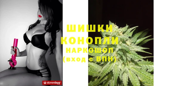 прущий лед Горняк