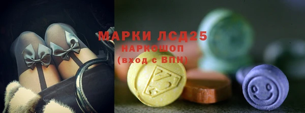 прущий лед Горняк