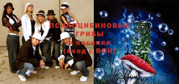 прущий лед Горняк